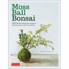 Moss ball bonsai for sale  USA