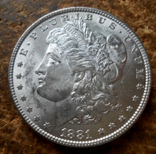 1881 morgan silver for sale  Oscoda