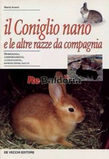 Coniglio nano altre usato  Vicenza
