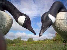 Canada goose decoy for sale  Amery