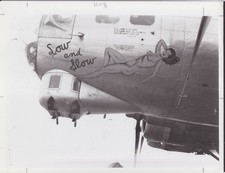 Low slow nose for sale  Hartford