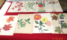 Anciens dessins fleurs d'occasion  Voiron
