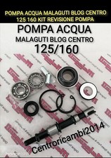 Pompa acqua malaguti usato  Italia