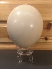 Blown ostrich eggs for sale  BANBURY