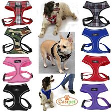 Dog harness puppy for sale  CREDITON