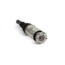 Arnott luftfederbein 3070 gebraucht kaufen  Oberlungwitz