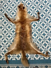 Rotfuchs echtfell pelz gebraucht kaufen  Burg