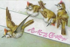 Edwardian christmas postcard for sale  BARNET