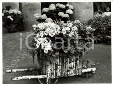 1962 bruxelles serre usato  Milano