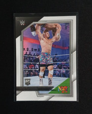 Panini wwe nxt gebraucht kaufen  Oberhausen