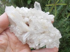 Minerali quarzo del usato  Buggiano