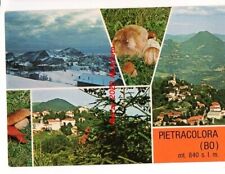Pietracolora 1979 bologna usato  San Teodoro