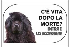 Cartello segnaletico terranova usato  Acate