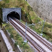 Plastico ferroviario diorama usato  Volterra