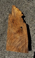 Big leaf maple for sale  Camas