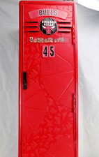 Vintage chicago bulls for sale  Britton