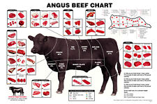 Angus beef chart for sale  Las Vegas