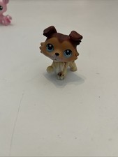 2004 hasbro rare for sale  Vancouver