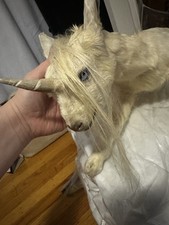 Rogue taxidermy unicorn for sale  Mountain View