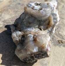 5.7 agate nodule for sale  Joshua Tree