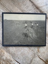 C1910 antica raccolta usato  Spedire a Italy