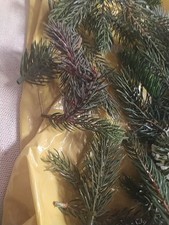 Echt aussehend künstliche gebraucht kaufen  Mühlacker