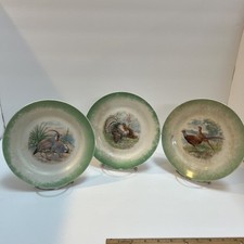 Vintage green trim for sale  Musella