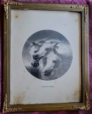 Pharaoh horses crossing for sale  Binghamton