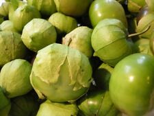 Usado, Sementes de tomate verde herança culinária fresca deliciosa casca verde salsa comprar usado  Enviando para Brazil