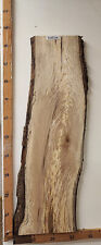 Esche 25mm dicke gebraucht kaufen  Waldkirchen
