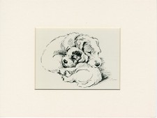 Sealyham terrier mum for sale  COLEFORD