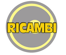 Ricambi per pompe usato  Castellabate