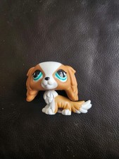 King charles spaniel for sale  LUTON
