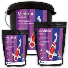 Labs medi koi for sale  DARTFORD