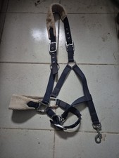 Halfter cob gebraucht kaufen  Börßum