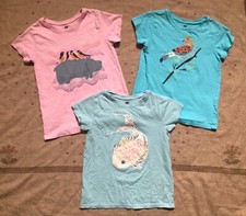 Tea collection hippo for sale  New Orleans
