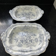 Blue white asiatic for sale  STOKE-ON-TRENT