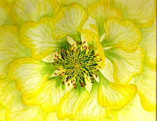 Painting watercolor art for sale  Rio Rancho