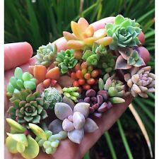 200pcs rare mixed for sale  Staten Island
