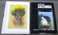 Giancarlo cazzaniga ginestre usato  Volano