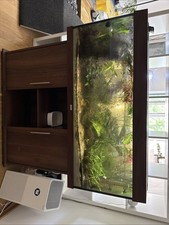 Aquarium becken gebraucht kaufen  Dresden
