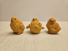 Little yellow chicks for sale  Catawissa