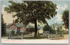 Newton abbot oak for sale  GLASGOW