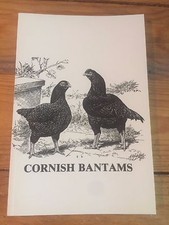 Cornish bantams for sale  Augusta