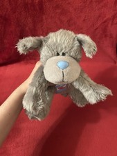 Dog puppy grey for sale  WHITSTABLE