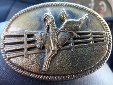 Saddle bronc rodeo for sale  Golden