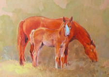 Pony foal vintage for sale  NELSON