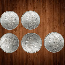 Lot 1878 morgan for sale  USA