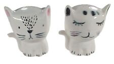 Kitty cat male for sale  Katy