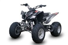 Quad atv kinderquad gebraucht kaufen  Ammerthal